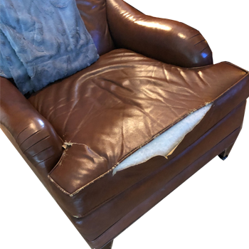 https://www.releather.com/images/services/recover-leather-ripped-seams-cushion.png